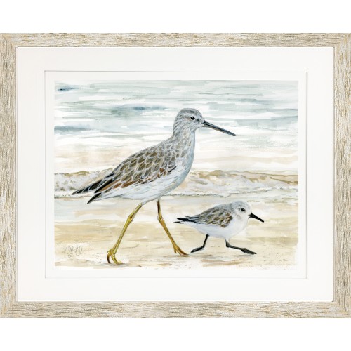 KS- SANDPIPER IN THE SURF 2